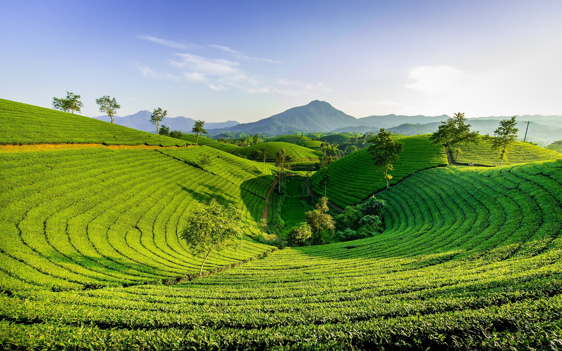 Hügel (Bild von Son Hoa Nguyen auf Pixabay)